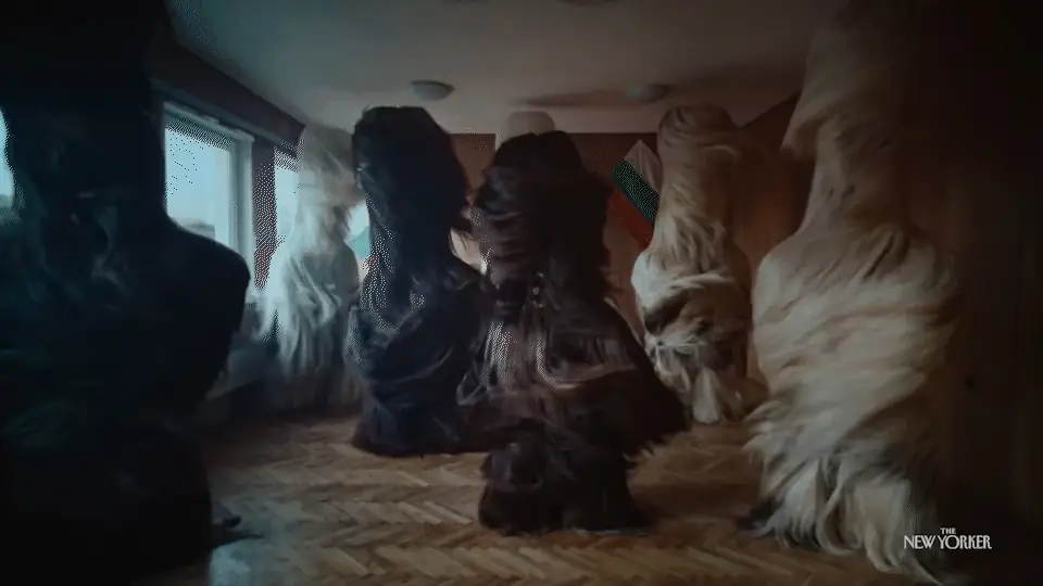Kukeri dancers in shaggy costume, moving in formation