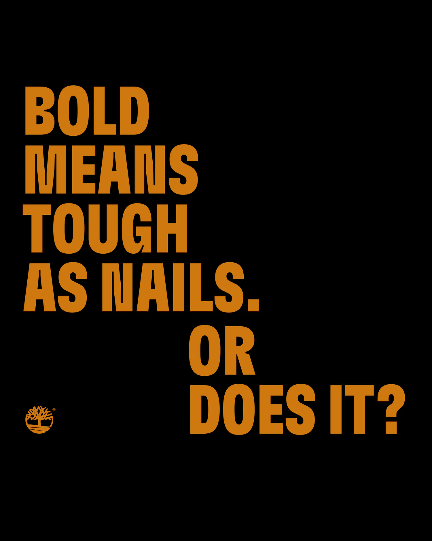 Built for the Bold social feed layout